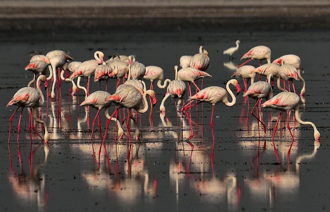 Red Earth Kabini Begur Luaran gambar