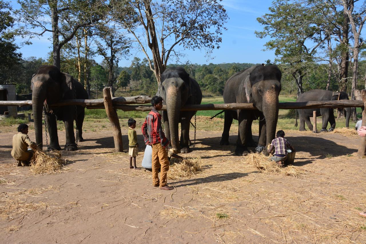 Red Earth Kabini Begur Luaran gambar