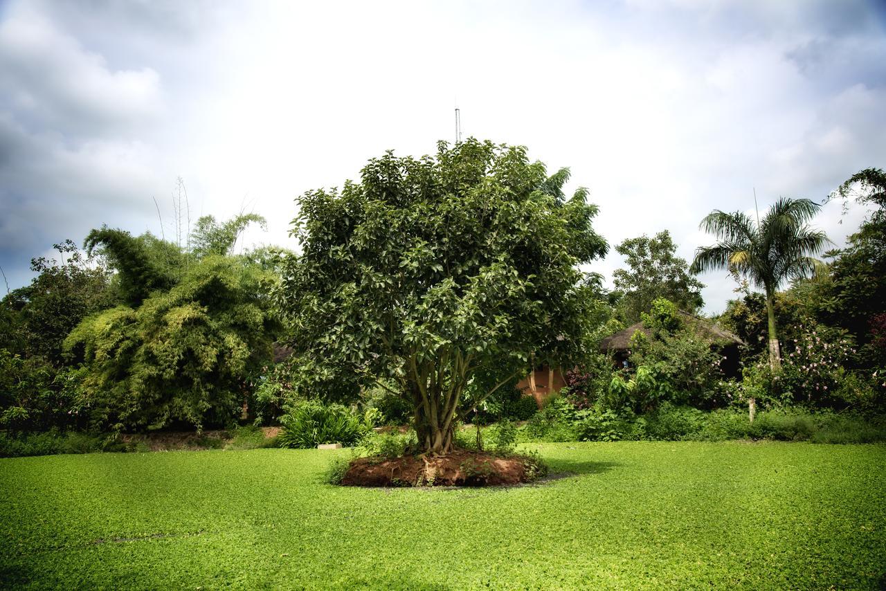 Red Earth Kabini Begur Luaran gambar